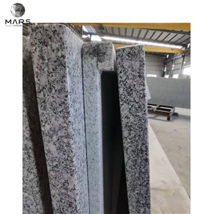 Natural Light Grey Bianco Sardo Granite Stone countertops