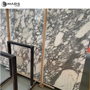 Popular Italian Big Flower Arabescato White Marble Slabs