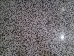 Chinese Granite G439 Granite Slab And Tile