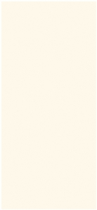 Modern Morandi Ivory White Sintered Slab 1S06QD120260-1318S