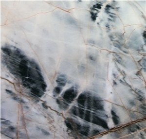 Black jungle Marble Tiles & Slabs