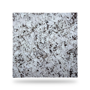 White Evolution Granite