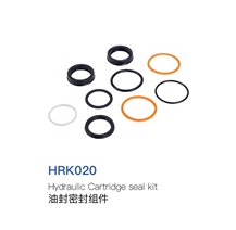 Hydraulic Cartridge Seal Kit