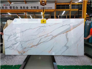 Italy Calacatta Gold Marble Polished  Slabs & Tiles