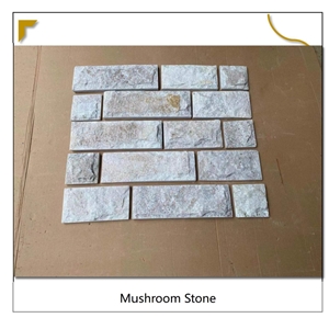 Split Surface Golden Vein Quartzite Mushroom Stone Tiles