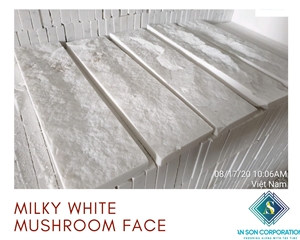 Hot Promotion - Milky White Mushroom Face