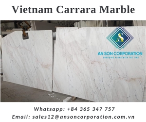 Hot Sale For Vietnam Carrara Marble Tile