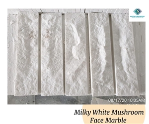 Milky White Mushroom Face Wall Panel - Hot Sale In October