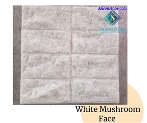  White Mushroom Face Wall Panel For Wall Cladding
