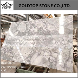 Natural Super White Quartz Slab Stone Wall Cladding Cover