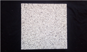 Snowy White Natanz Granite Honed Tiles