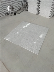 Cheap Light Grey Granite Tiles Importers White Granite G603