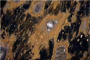 Andromeda Quartzite Tiles & Slabs, Black Polished Quartzite 