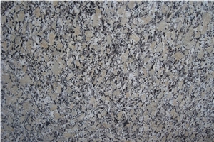 China Giallo Fiorito Granite Slabs,China Yellow Granite