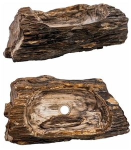 Petrified Wood Sink Natural Shape