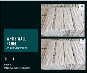 Hot Product - Crystal Wall Panel From ASC