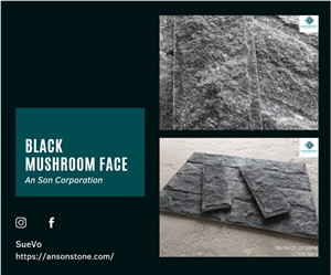 Hot Product - Vietnam Black Mushroom Face Marble 