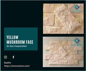 Hot Product -  Vietnam Yellow Mushroom Face Wall Cladding 
