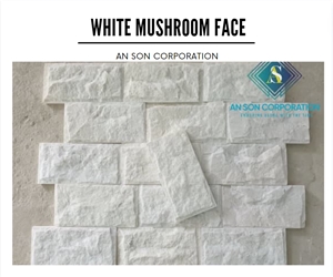 White Mushroom Face Wall Panel From ASC 