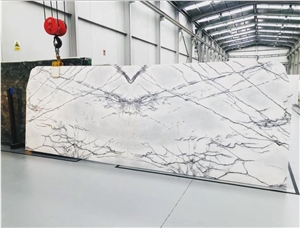 Amazing White Marble With Grey Tones And Fine Black Veins