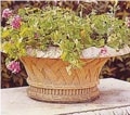 Natural Flower Pots