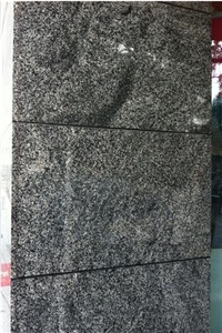 China Misty Impala Black Granite Slabs & Tiles 1109