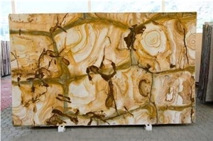 Palomino Quartzite Slabs, Stone Wood Quartzite