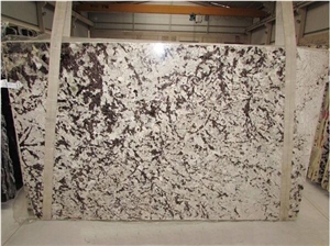 Splendor White Granite Slabs, White Brazil Granite Slabs