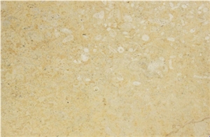 Coral Stone Tile 16X24 Honed Large Format Pattern