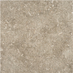 Seagrass Limestone Tile 12X12 Honed