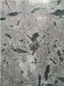 Feather Fossil Marble Slab For Wall Cladding/Floor Covering