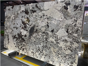 Luxury Quartzite Snow Fox For Wall Cladding/Floor Covering