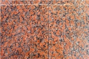 G562 Maple Red Granite Tile