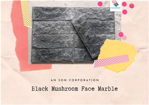 Hot December Marble Tile - Black Mushroom Face Marble