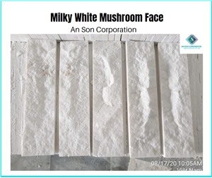 Milky White Mushroom Face Wall Panel From ASC 