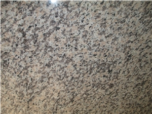 Tiger Skin Red Granite Tiles Slabs Walling Flooring Covers