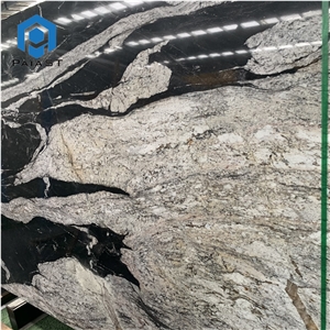 Brazil Black Quartzite With White Veins Slabs For Countertop