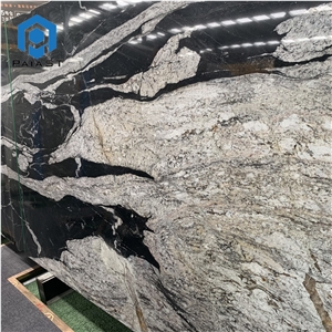 Brazil Black Quartzite With White Veins Slabs For Countertop