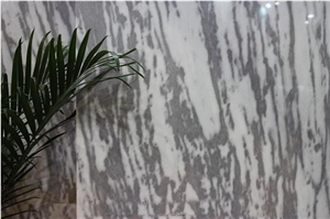 Kelantan Jade Marble Slabs & Tiles, China White Marble