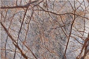 Rain Forest Brown Marble Slabs And  Brown Marble Slabs India