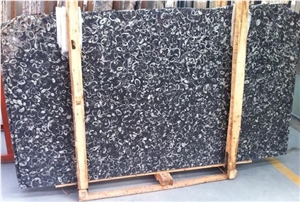 Seashell Flower Granite Slabs