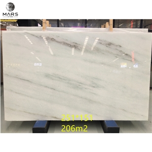 Veria White Marble Slab With Black Lines For Wall