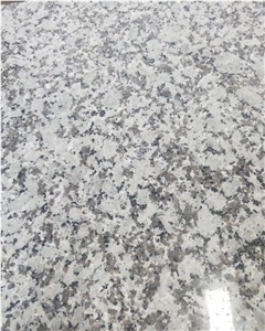Bala White G438 Granite Prefab Countertops