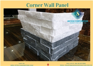 Hot Promotion In January Corner Wall Panel