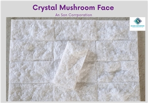 Hot Promotion In January Crystal Mushroom Face
