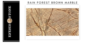 Rain Forest Brown Marble