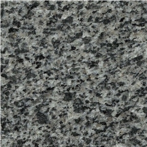 Granite G654 Light Green Grey Granite Slab Tile Own Mine