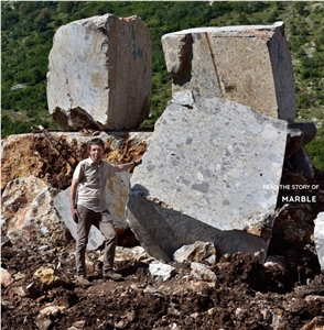Breccia Deja Marble Blocks From Own Quarry