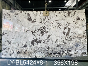 High Quality Polished Splendor White Granite