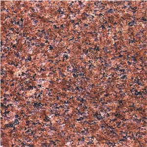 Top Red Grantie Floor Tiles Price Granite Natural Stone